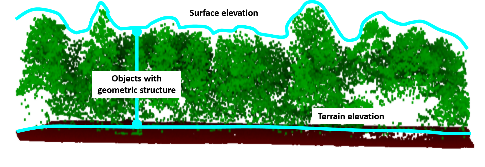 Representation of terrain, surface and object structure in point cloud data terrain, surface & object structure