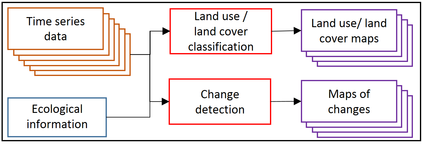 Types of temporal analysis