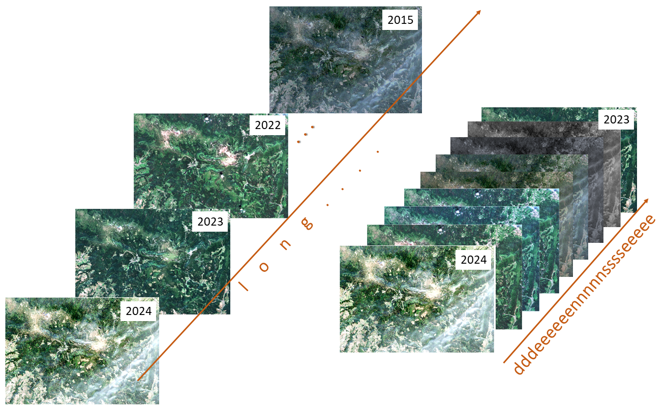 Long and dense time series data examples