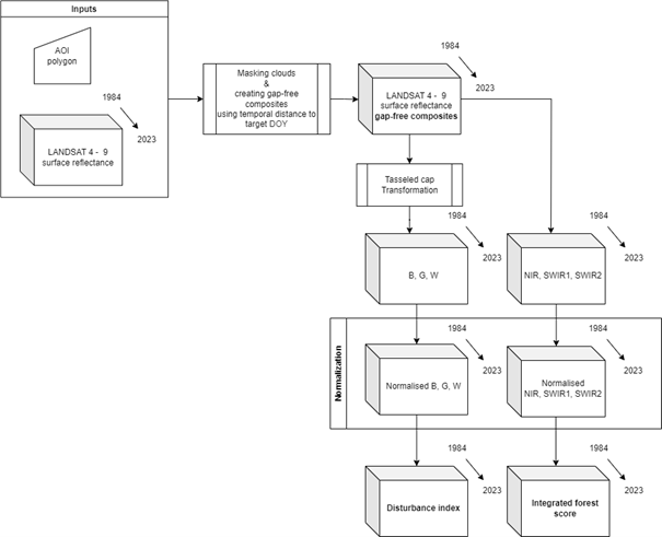 General workflow applied in the GEE application Forest disturbance in Ore Mountains.