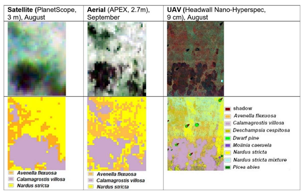 Data and classification results.